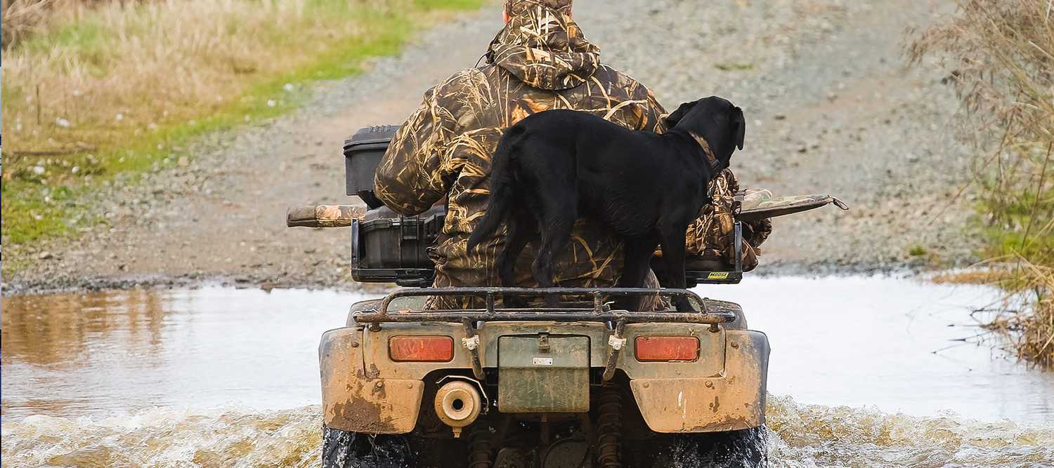 ATV with Owner and Dog